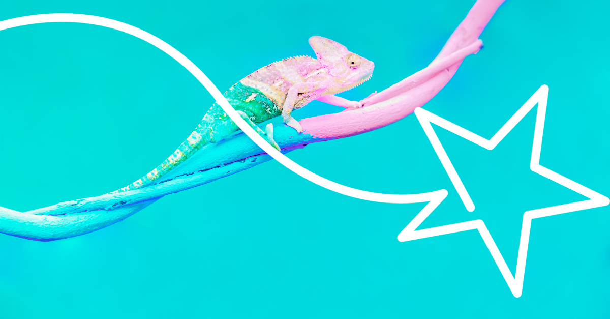 Chameleon with Bright illustration 